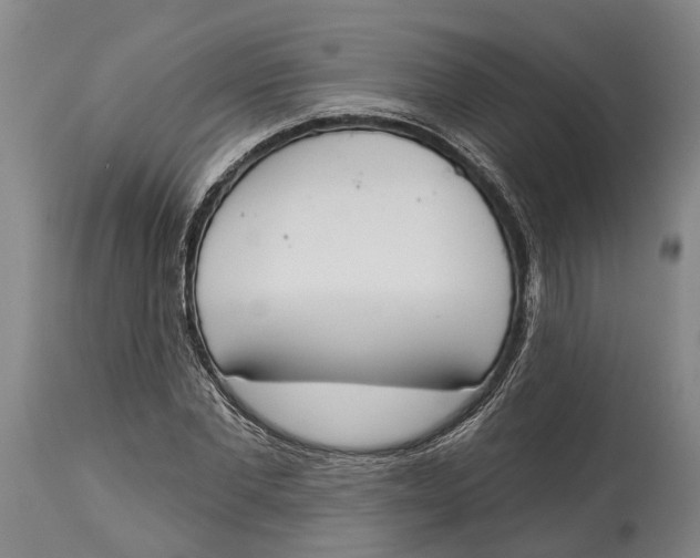 X0000115110877200911171303