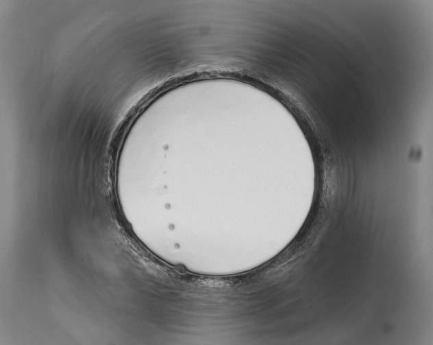 X0000115110878200911171303