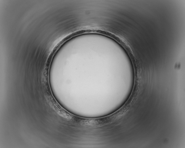 X0000115110879200911171303
