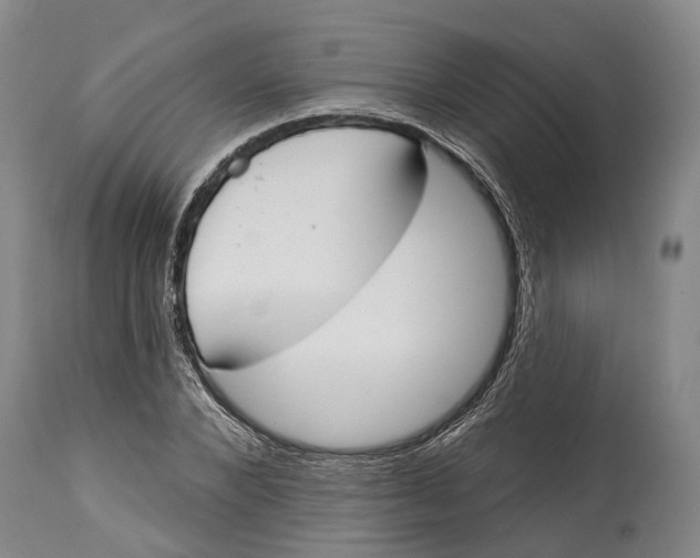 X0000115110880200911171303