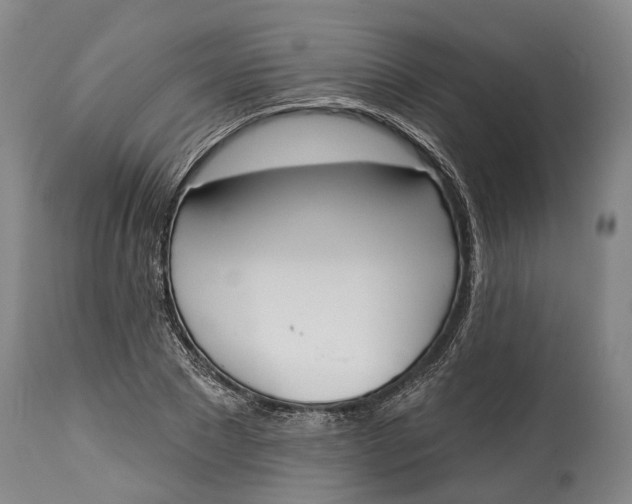 X0000115110881200911171303