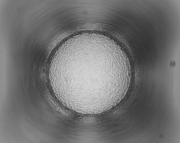 X0000115110882200911171303