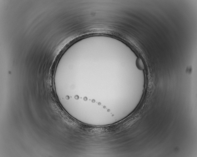 X0000115110883200911171303