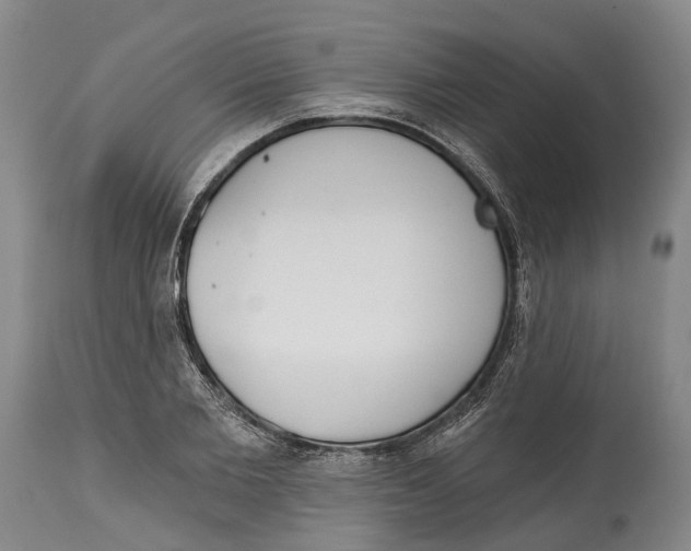 X0000115110885200911171303