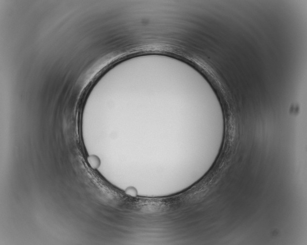 X0000115110886200911171303