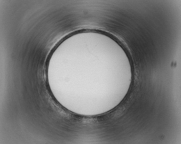 X0000115110887200911171303