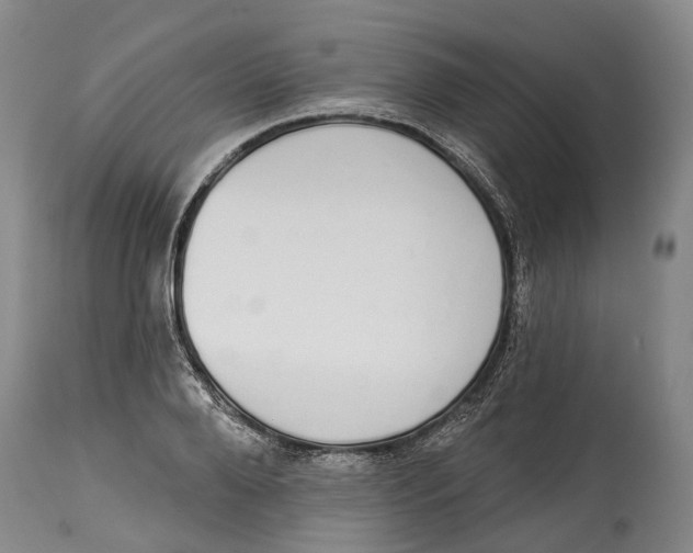 X0000115110888200911171303