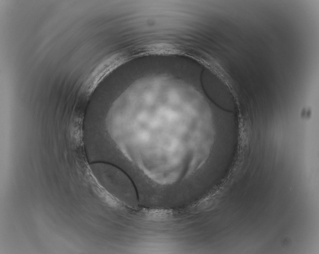 X0000115110889200911171303