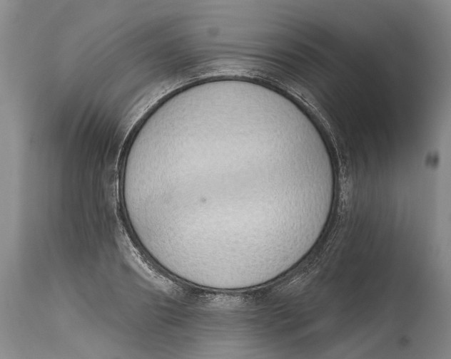 X0000115110890200911171303