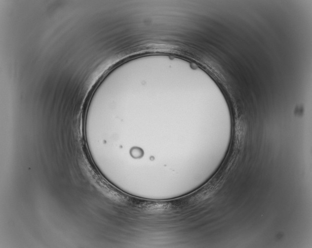 X0000115110891200911171303