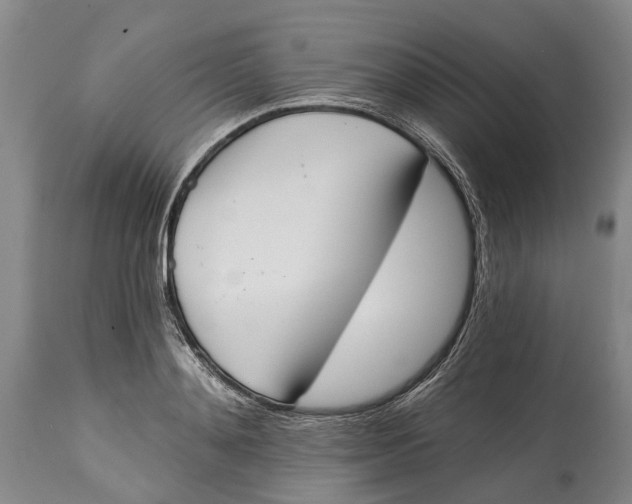X0000115110892200911171303