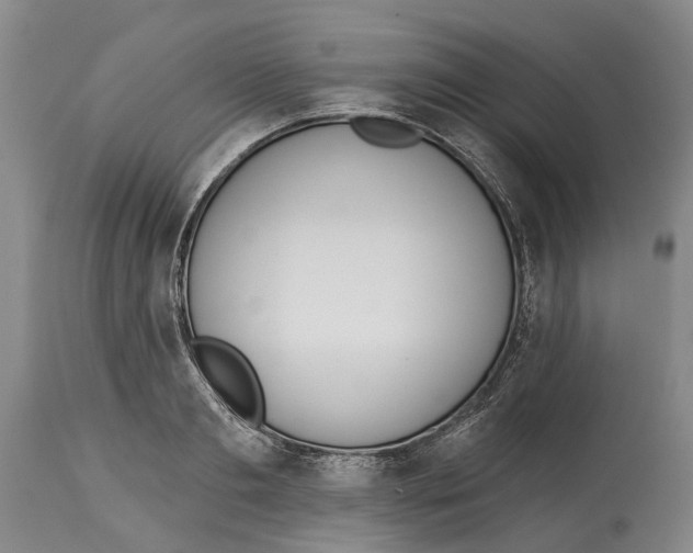 X0000115110893200911171303
