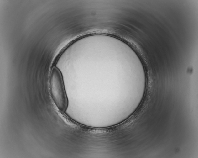 X0000115110894200911171303