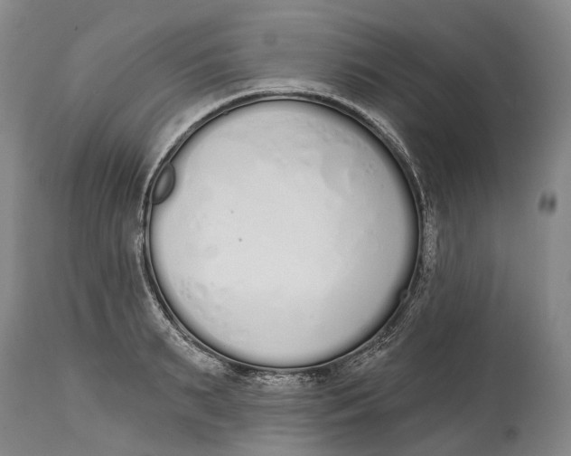 X0000115110895200911171303