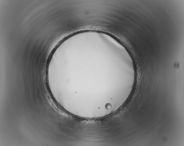 X0000115110896200911171303