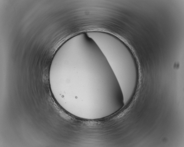 X0000115110897200911171303