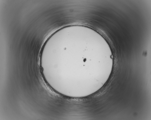 X0000115110900200911171303