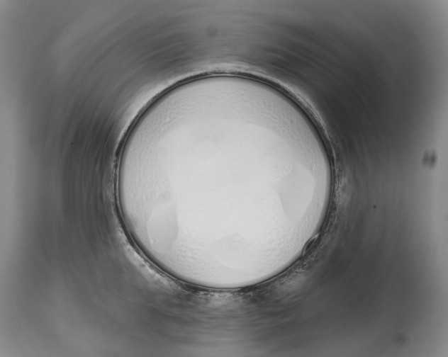 X0000115110903200911171303