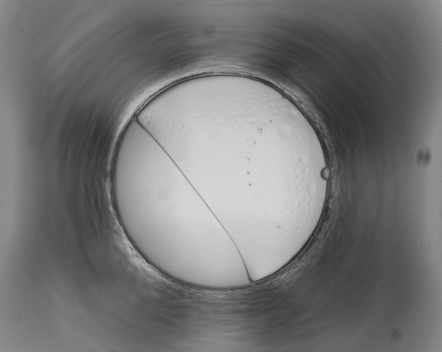 X0000115110904200911171302