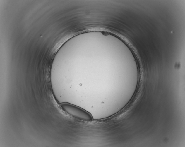 X0000115110905200911171302