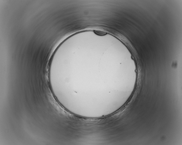 X0000115110908200911171302