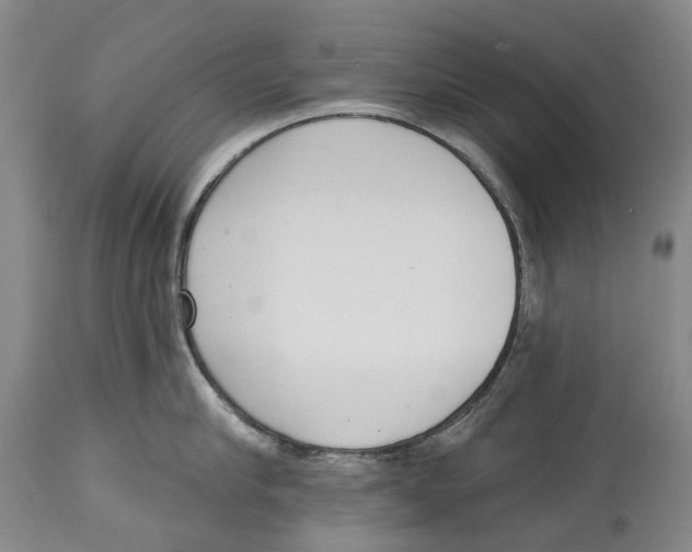 X0000115110910200911171302