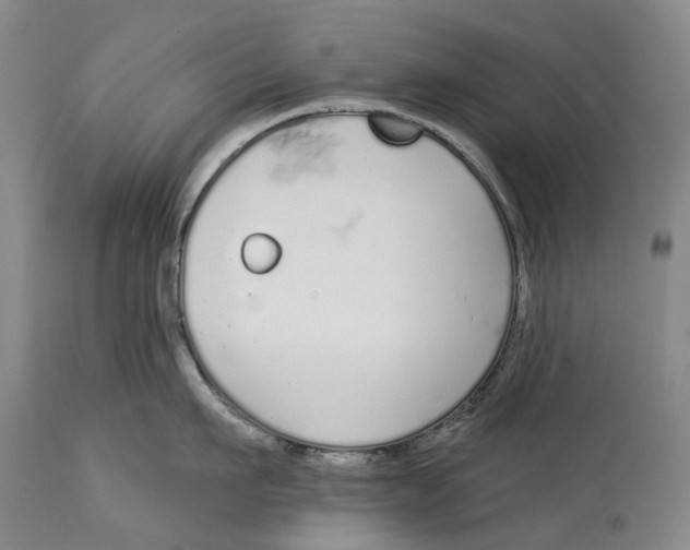 X0000115110911200911171302