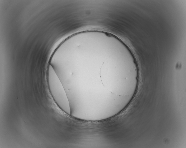 X0000115110912200911171302