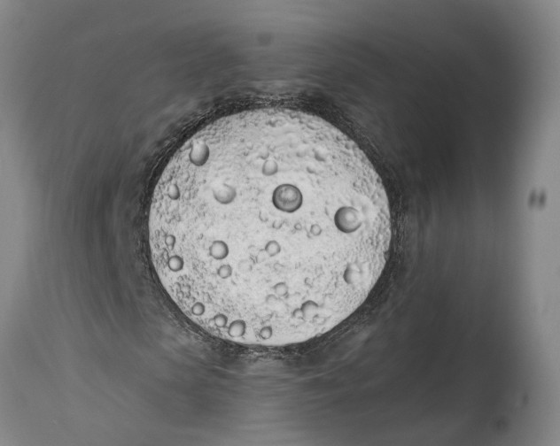 X0000115110913200911171302