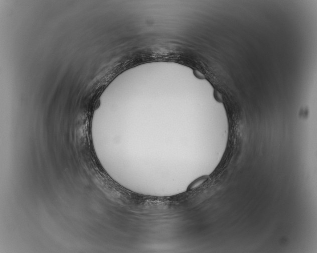 X0000115110914200911171302