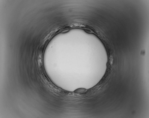 X0000115110915200911171302