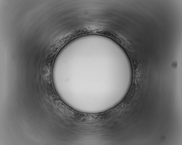 X0000115110917200911171302