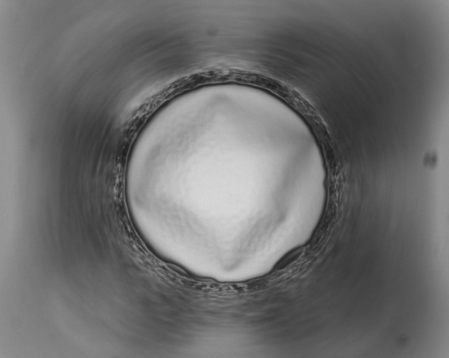 X0000115110919200911171302