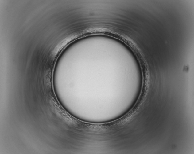 X0000115110921200911171302