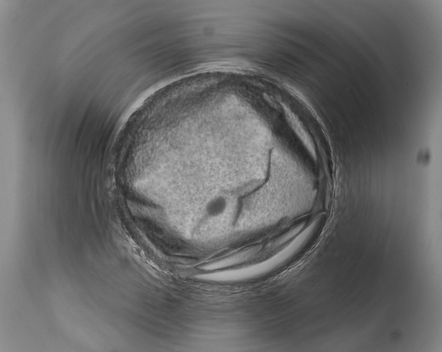 X0000115110923200911171302