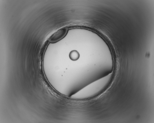 X0000115110925200911171302