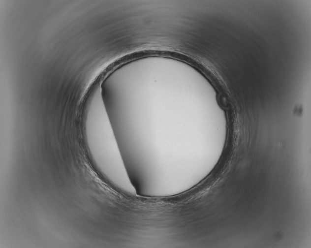 X0000115110926200911171302