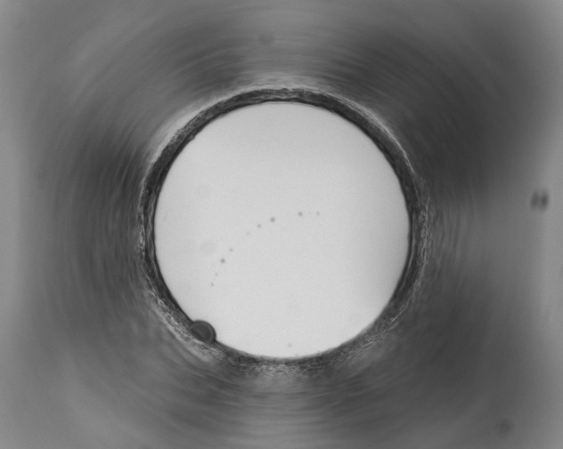 X0000115110927200911171302