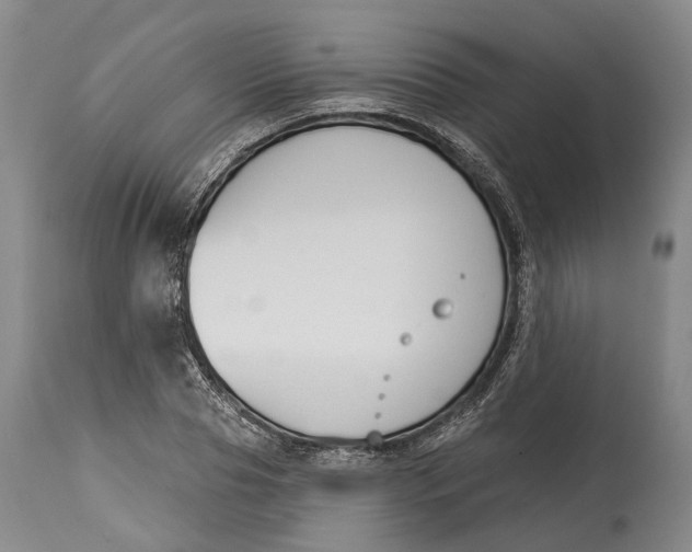 X0000115110929200911171302