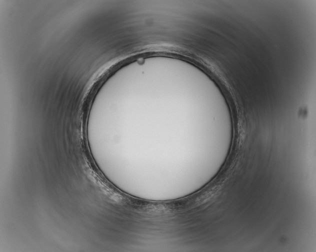 X0000115110931200911171302