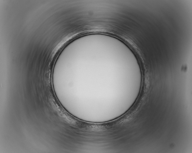 X0000115110933200911171302