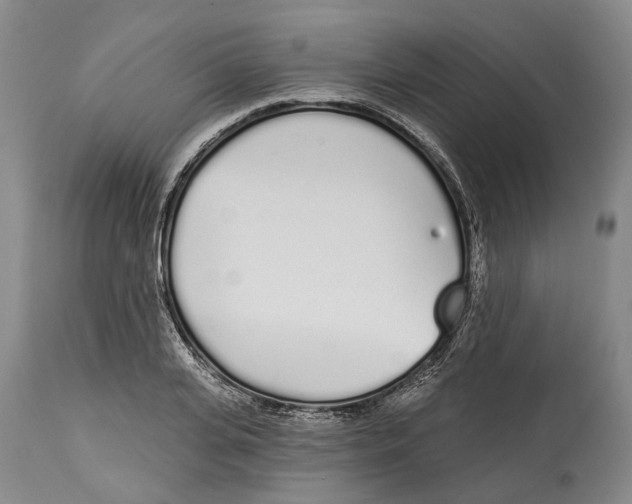 X0000115110935200911171302