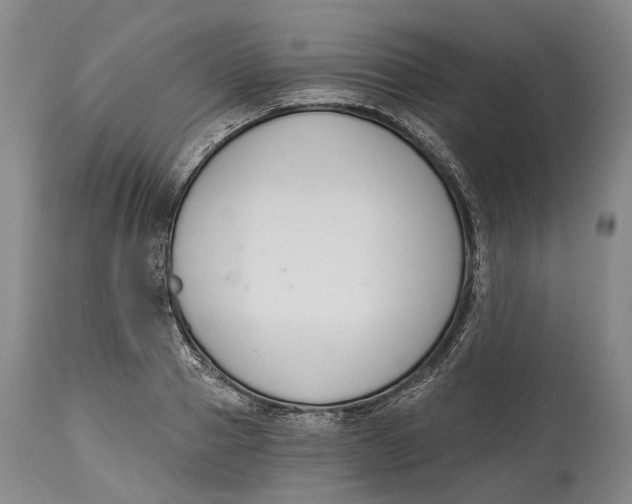 X0000115110937200911171302