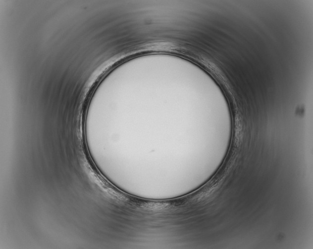 X0000115110939200911171302