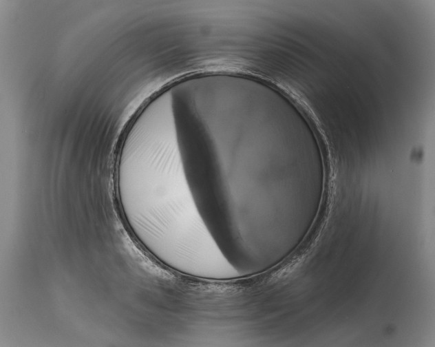 X0000115110941200911171302