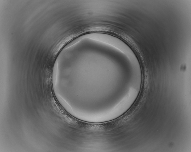 X0000115110945200911171302