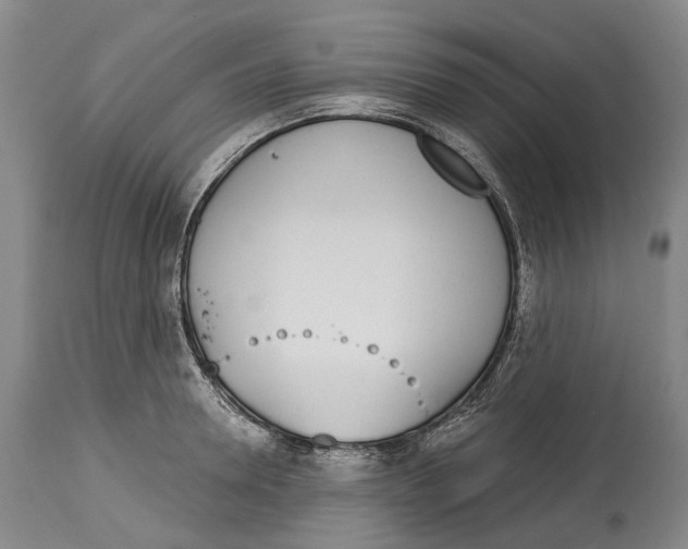 X0000115110946200911171302