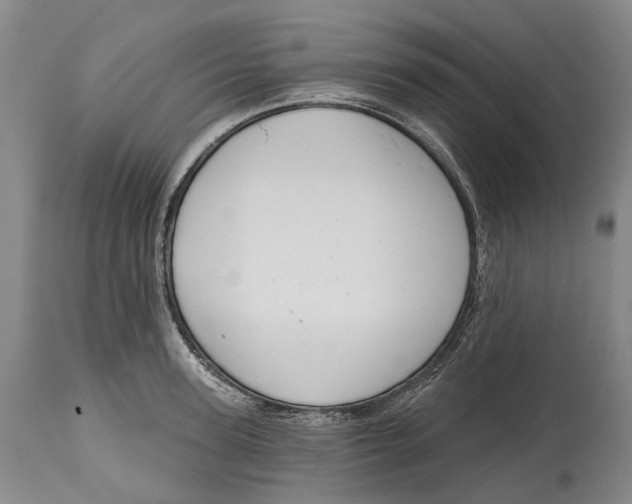 X0000115110947200911171302