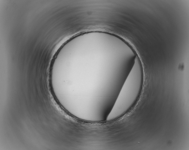 X0000115110949200911171302