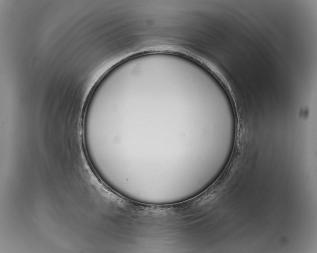 X0000115110951200911171302